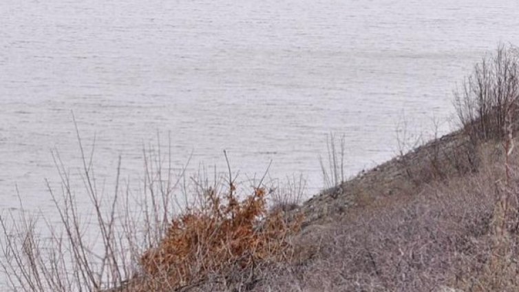 5-годишно дете се удави във водоем Мечкаревски дупки 