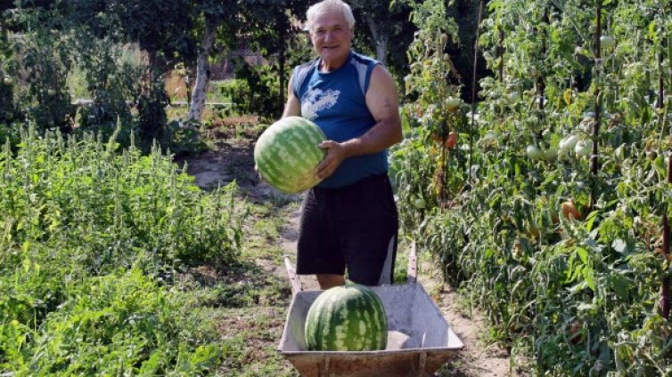 Дини гиганти радват бай Митко от Крали Марко