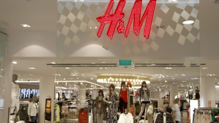 Мъчения на зайци в Китай отказват H&M от ангората