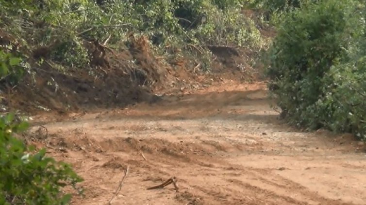 Остава в сила бедственото положение в село Дедево