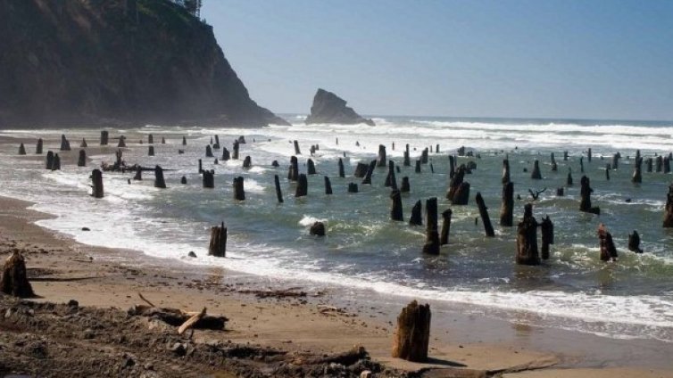 Мъртвата смърчова гора във водата