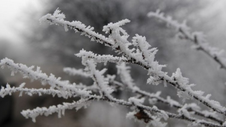 Студът взе жертва, мъж измръзна до смърт в шуменско село