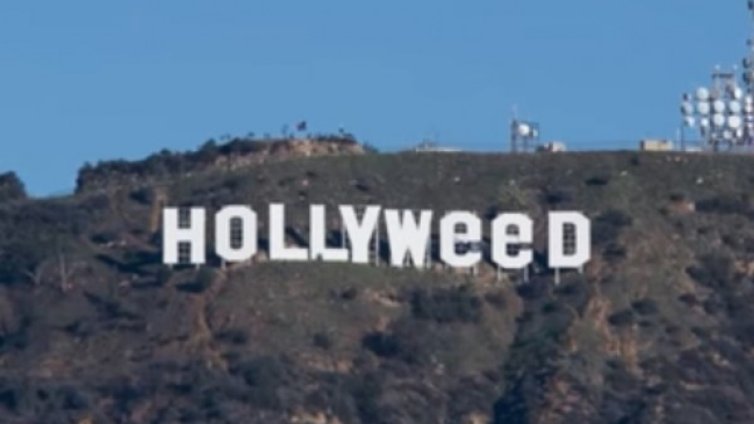 Hollyweed: Вандализмът и последствията... 