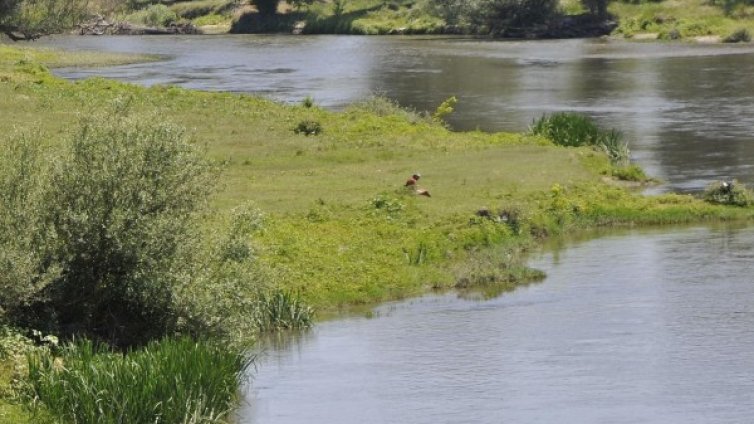 Водолази вадят тяло от река Марица в Пловдив