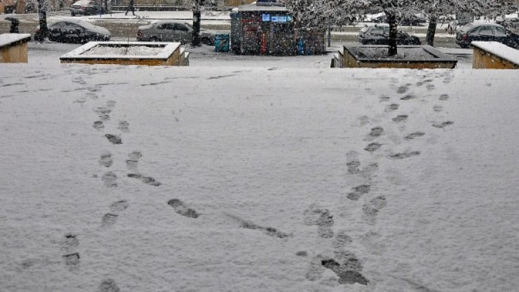 Валежите продължават, в Западна България - сняг