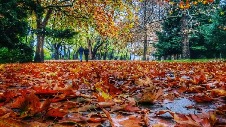 Септември ще е топъл и летен, само за море и... печени чушки 