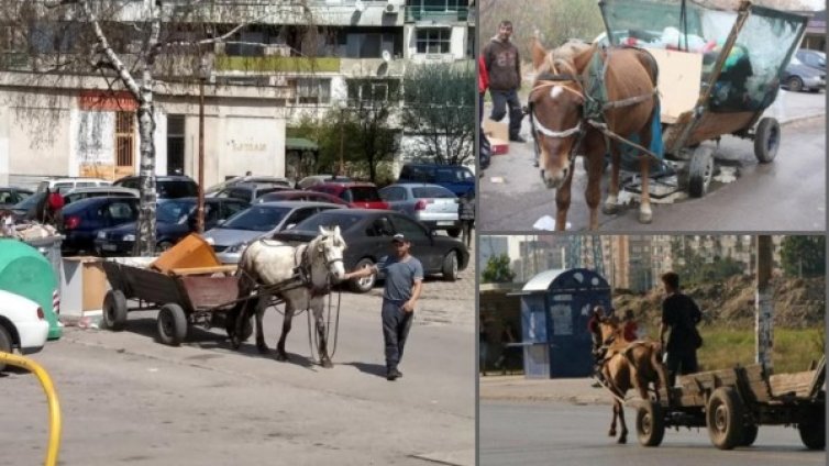 Патриотите в СОС: Конете на ромите – в "Екоравновесие"