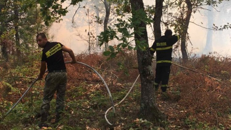 Пожарът край Девин е потушен