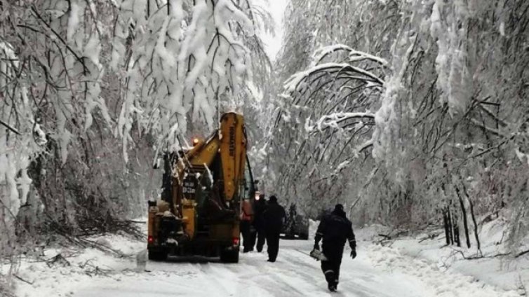 Разчистват "Петрохан" от падналите и пречупени дървета