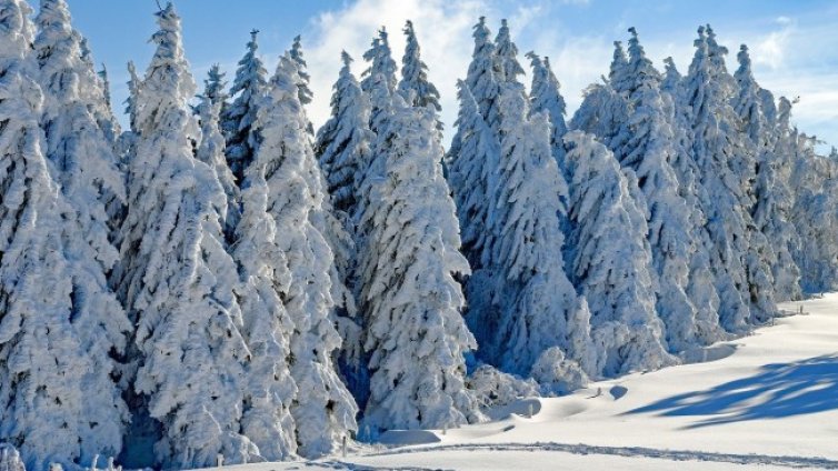 Утре слънцето ще се покаже на места, температурите ще са между 0° и 5°