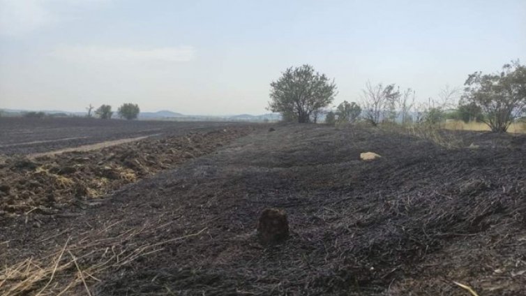 Голям пожар унищожи 300 декара масиви край Пловдив 