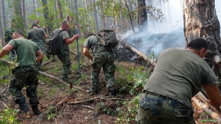 Девети ден продължава гасенето на пожара над Югово