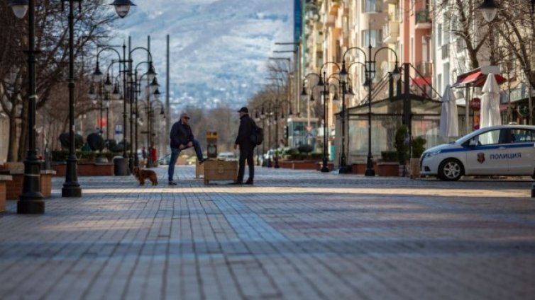 Нашествие на плъхове в центъра на София 