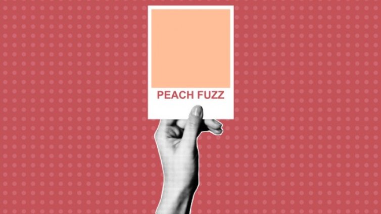 Обзавеждане на дома с цвета на 2024 г. - Peach Fuzz