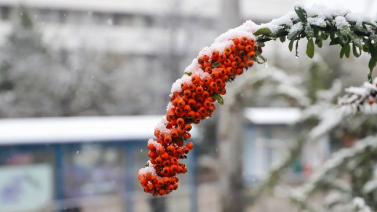 Валежите спират, утре ще е предимно слънчево