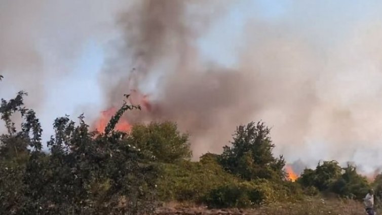 Търсят се доброволци, в Припек е критично - огънят се разраства, вода няма