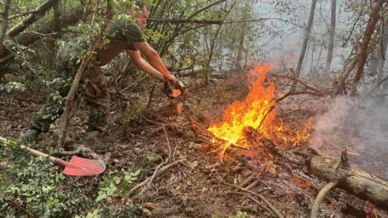 Умишлен палеж в чирпанско село, задържан е извършителят