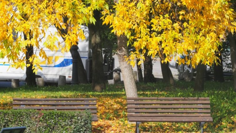 Златната есен продължава, топло и слънчево и в четвъртък