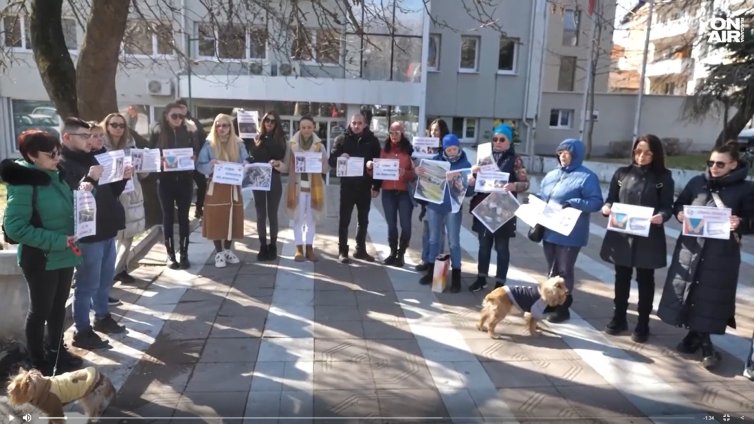  Масово отравяне на бездомни кучета в парка на Сандански