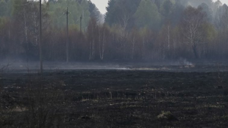 Пожарът до Чернобил е напълно потушен