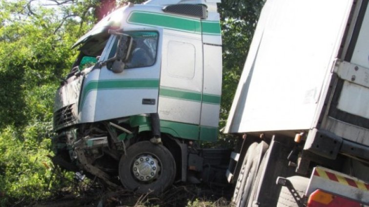 Тираджия с два промила се заби в дърво