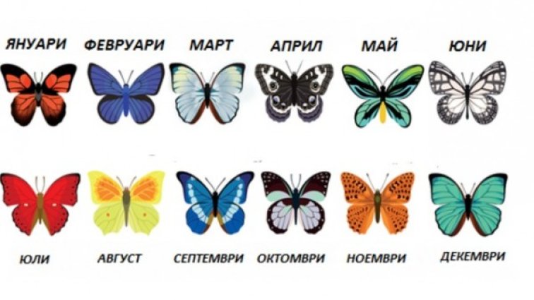 Каква е личността ви според пеперудата на месеца ви на раждане