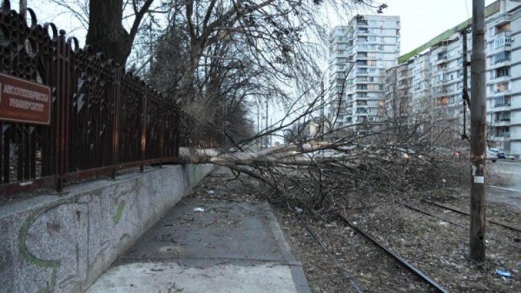 Жълт код за силен вятър в столицата