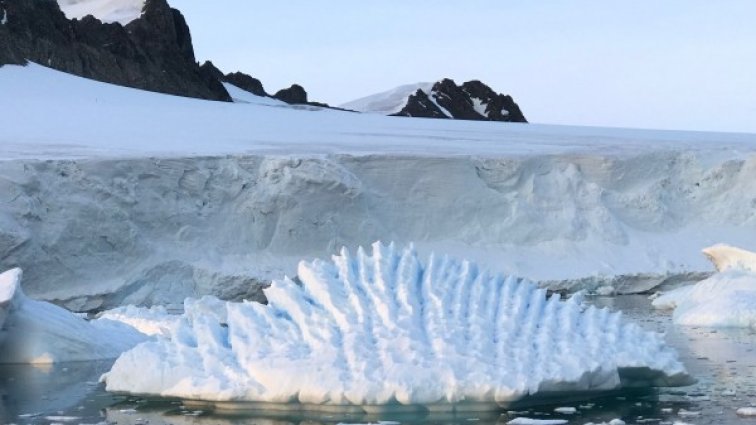 В Антарктида на -22°C: Плуване в ледената вода