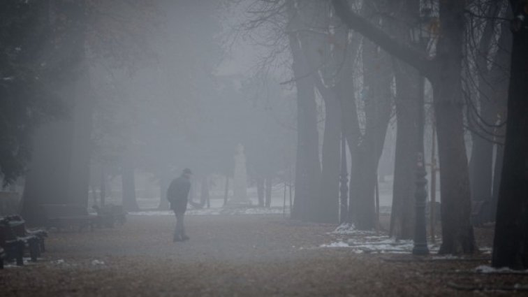 Снимка: Димитър Кьосемарлиев, Dnes.bg