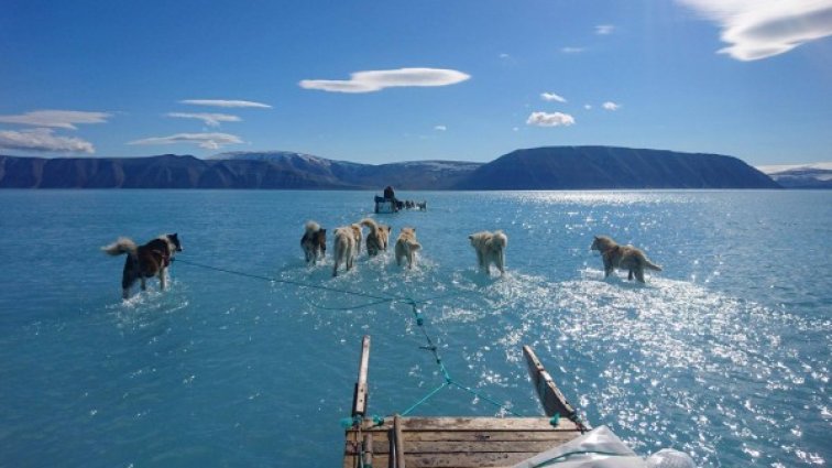 Климатичните аномалии в Арктика: Вместо нормалните 4°C цели 21°C