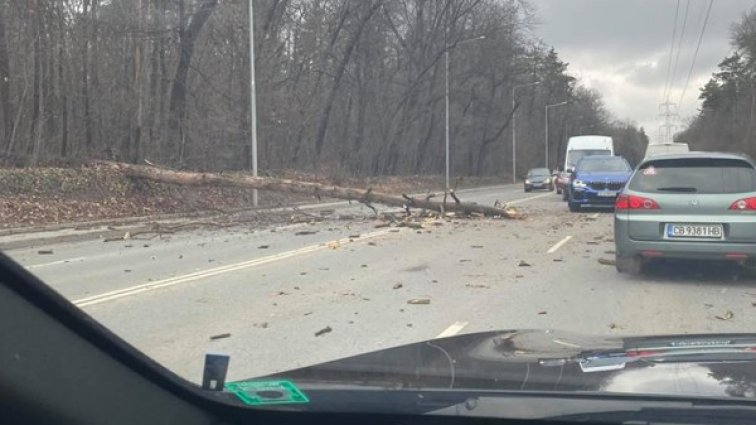 Снимка: Забелязано в София