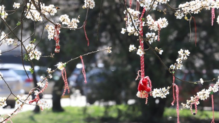 Слънцето се показва и времето се затопля, до 12° днес