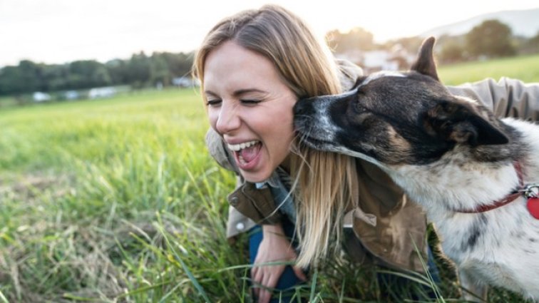 Снимка: istock