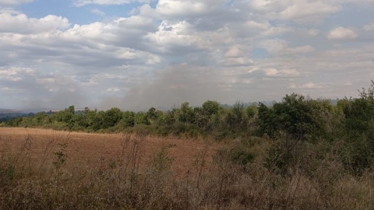 Пожарникари спасиха четири къщи от пожар