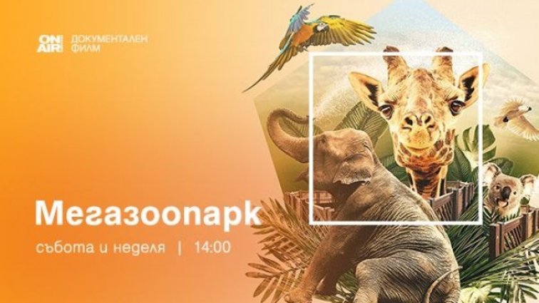 Документалната поредица "Мегазоопарк" премиерно по Bulgaria ON AIR