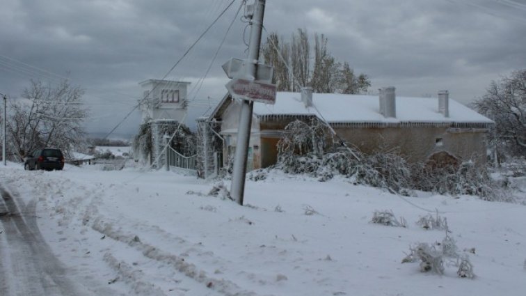 Снимка БГНЕС