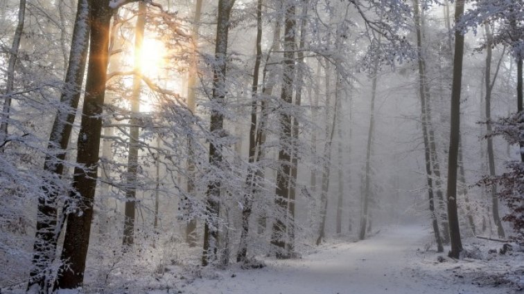 Слънчево, но студено, максималните температури ще са между 1° и 6°