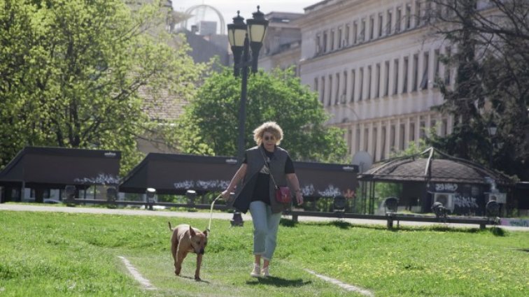 Слънчево и топло и утре, градусите до 29°