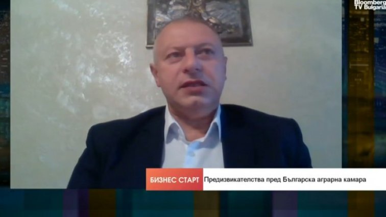 Снимка: Bloomberg TV Bulgaria