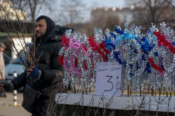 Снимка: Димитър Кьосемарлиев, Dnes.bg