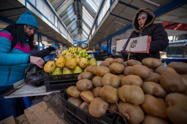 Снимка: Димитър Кьосемарлиев, Dnes.bg