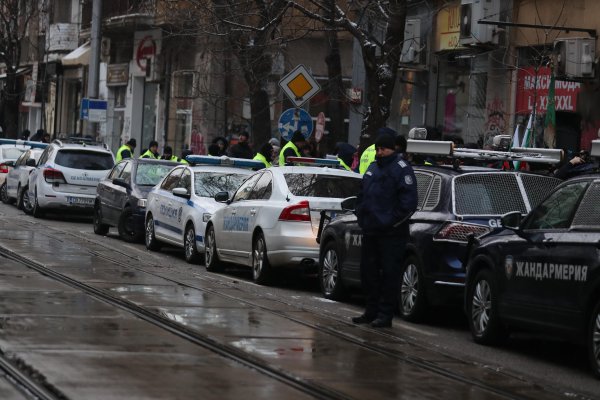 Снимка: Димитър Кьосемарлиев, Dnes.bg