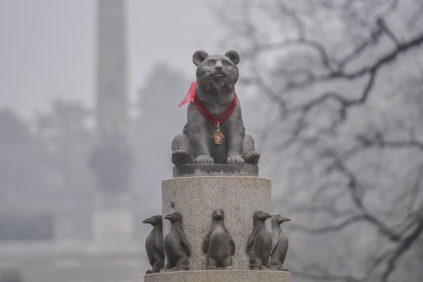 Снимка: Димитър Кьосемарлиев