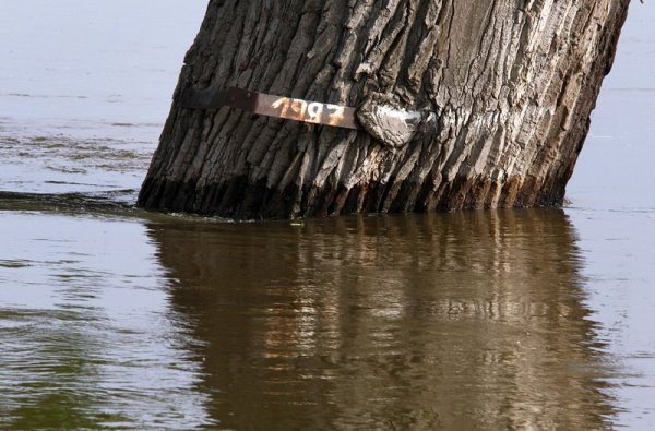 Водата почти е достигнала до знака, поставен на дърво на полско-германската граница при предишното голямо наводнение. Снимка: БГНЕС