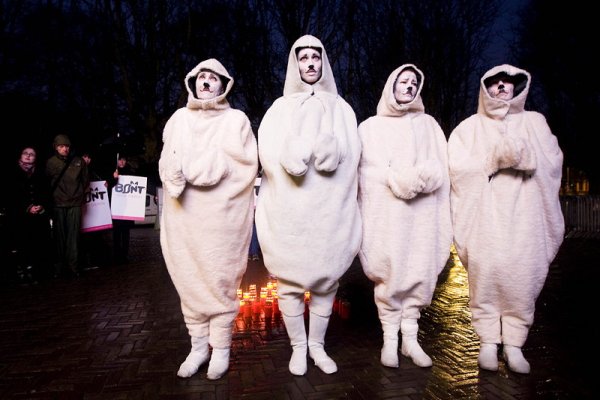 Холандски природозащитници протестират в Хага срещу опитите с животни. Снимка: БГНЕС