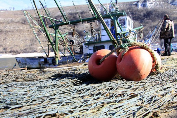 Рибари от Каварна използват хубавото време за ремонт на лодките си и риболовния инвентар. Снимка: БТА