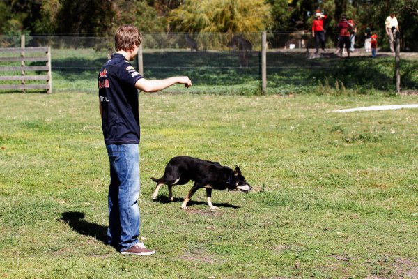 Снимка: Getty Images/Guliver Photos