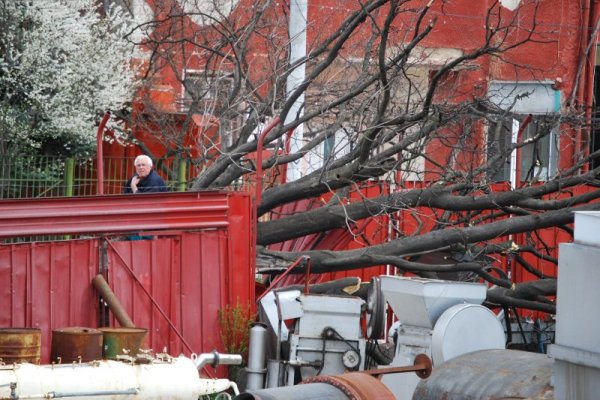 Бурният вятър този този следобед повали дърво, което падна и потроши ограда на фирма в Ловеч. В 24 области на страната е обявен жълт код заради силния вятър. Снимка: Булфото