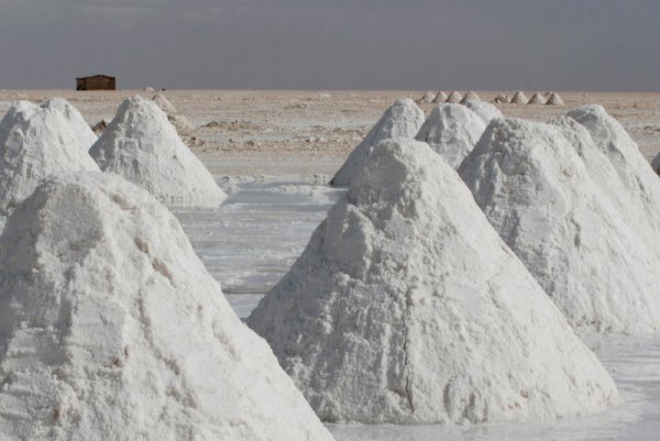 Салар де Уюни (The Salar de Uyuni) се намира в западната част на Боливия. Това чудо е най-голямото солено езеро в света, разположено на 3700 м надморска височина и с площ над 10 000 км. В средата на солника дебелината сол достига 10 м. Когато вали дъжд, Салар де Уюни се покрива и изглежда като огромно огледало. На това място няколко вида розово фламинго се събират за размножаване. Снимка: Reuters