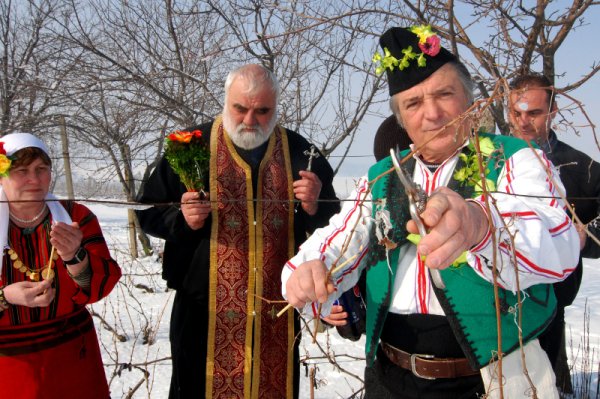 По традиция жителите на хасковското село Черногорово зарязаха лозята си в деня на Трифон Зарезан. Преди това бе отслужен водосвет за берекет и добра реколта. Снимка: БТА